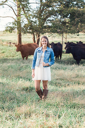 kcengagement-68