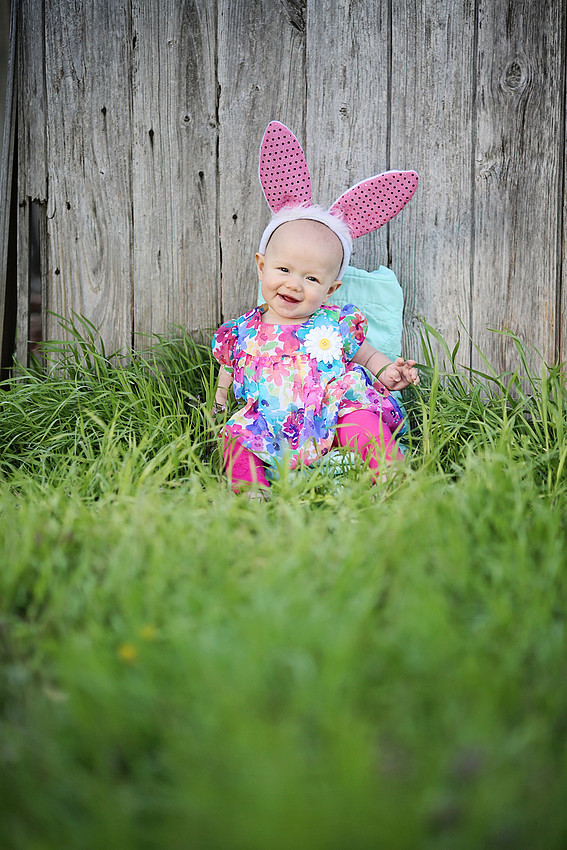 spring mini sessions bolivar missouri