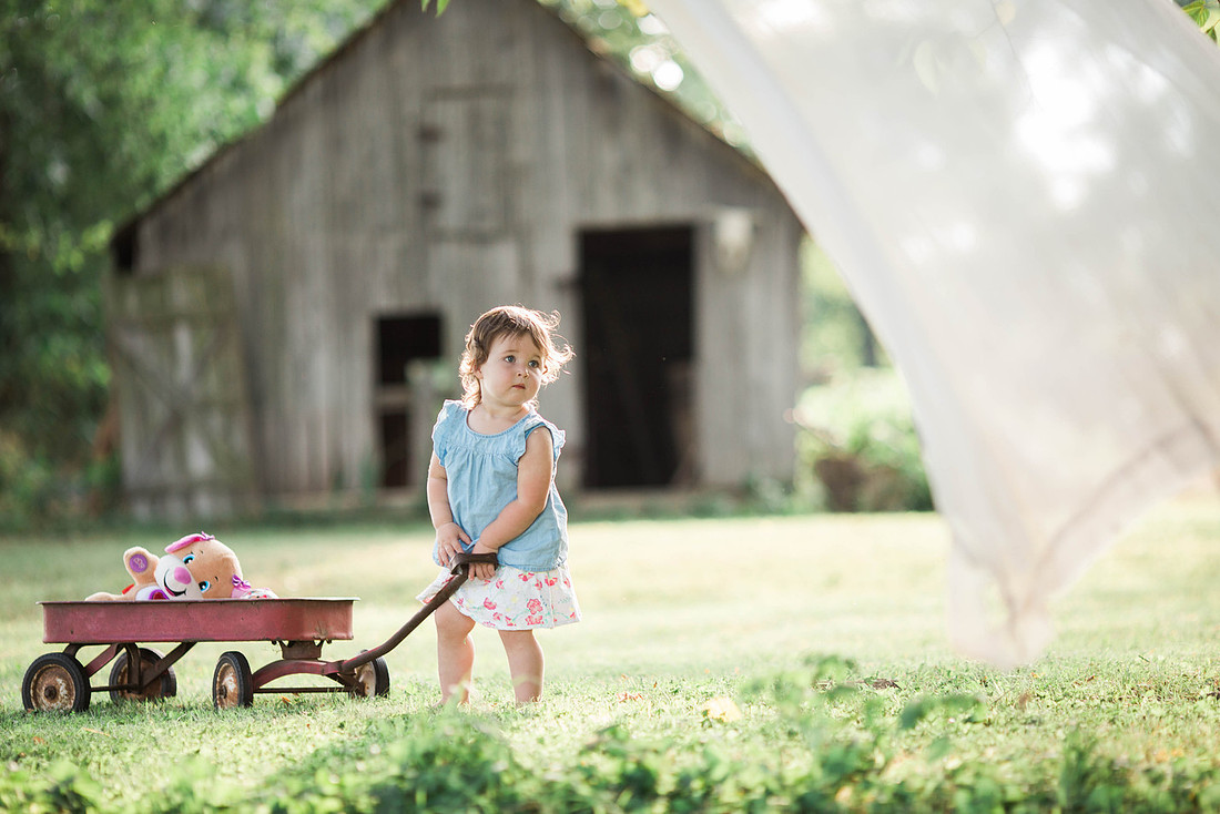 spring mini sessions bolivar missouri