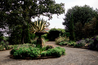 Monique + Shane Wedding (5 of 1089)