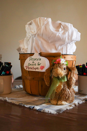 Jade & Stephen's Baby Shower (2 of 413)