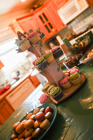 Jade & Stephen's Baby Shower (4 of 413)