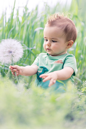Boone 8 months-7649