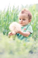 Boone 8 months-7652