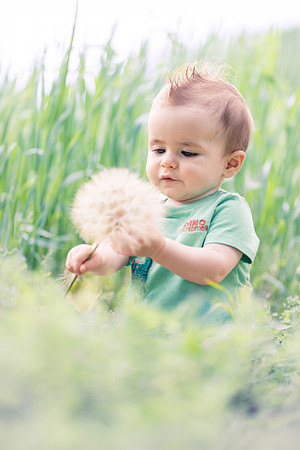 Boone 8 months-7652