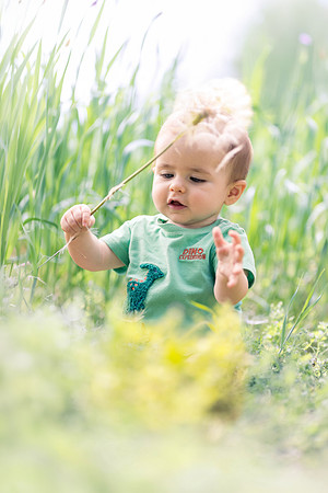 Boone 8 months-7672