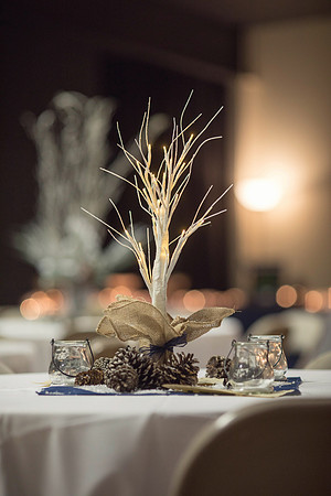 Bolivar Missouri wedding photographer