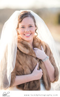Bolivar Missouri wedding photographer