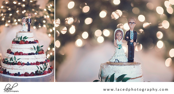 Bolivar Missouri wedding photographer
