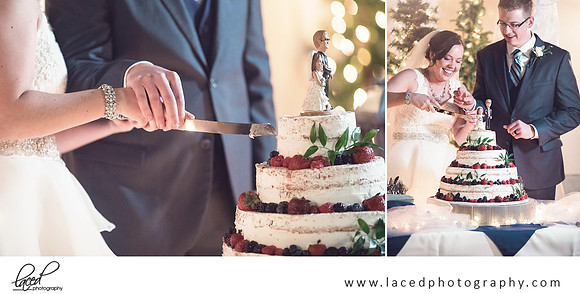 Bolivar Missouri wedding photographer