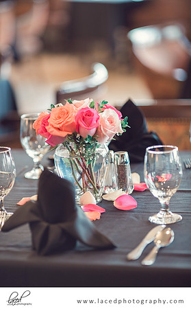 Columbia Missouri Wedding Photographer