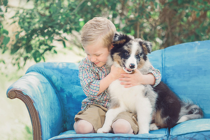 top children's photographer Springfield Missouri