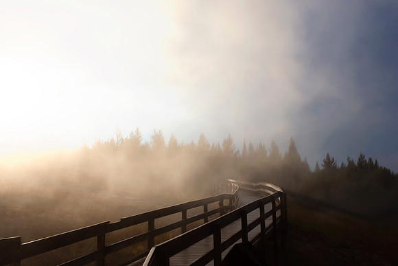 Yellowstone steam path walkway photograph