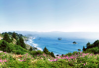 Brookings, Oregon Seaside Cliff view, ocean and flowers blooming