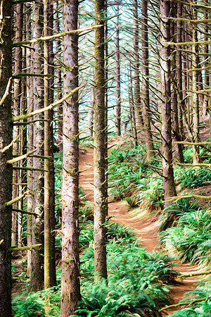 Samuel H. Boardman State Scenic Corridor trail