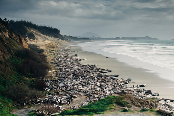 Oregon Coast