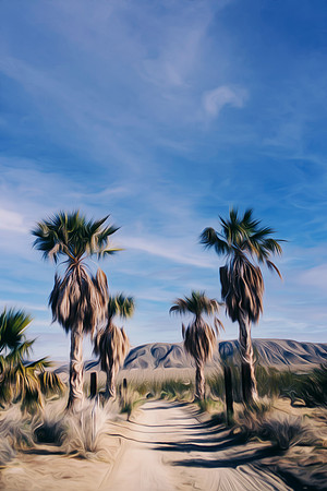 Palm trees in Joshua Tree
