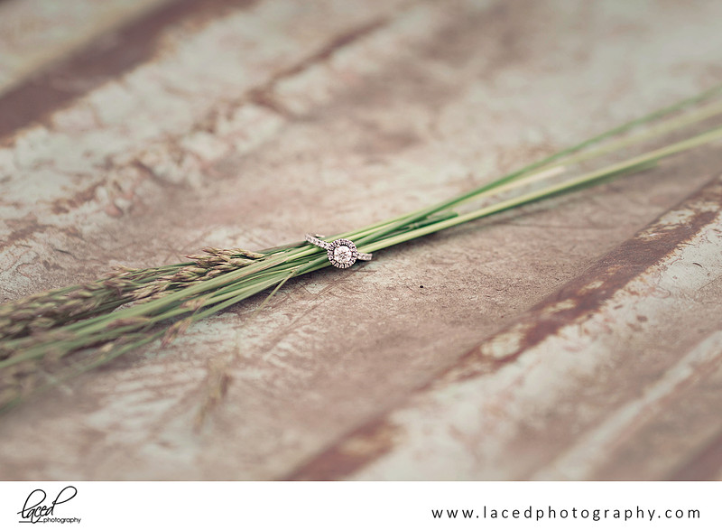 Top Springfield Wedding Photographer, Bolivar, Branson Elopement Photographer, Branson Wedding Venue, Branson Engagement