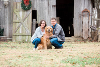 york engagement-7