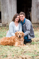 york engagement-12