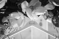 wedding full-8418-2