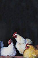 three hens final