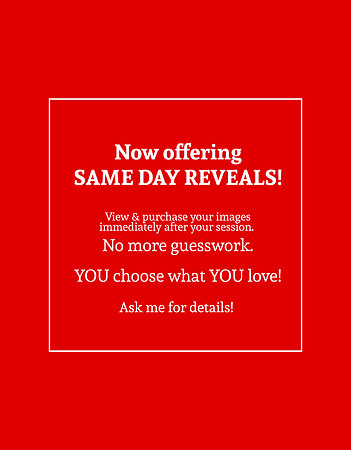 same day reveals