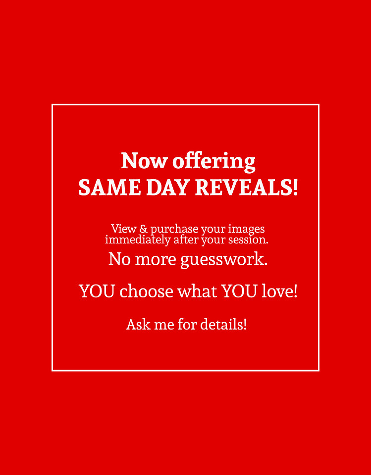 same day reveals