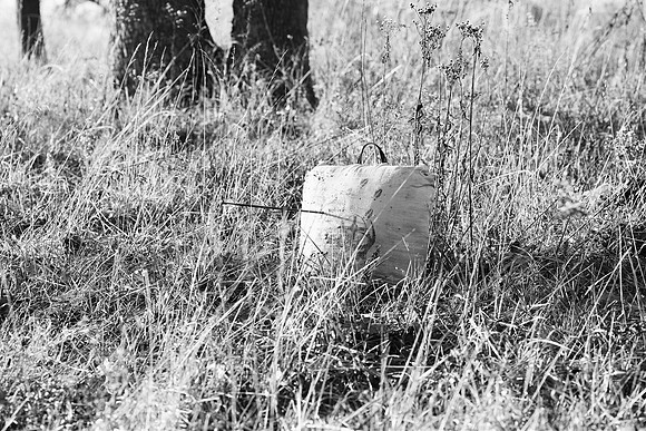 Poterbin Family_ bw