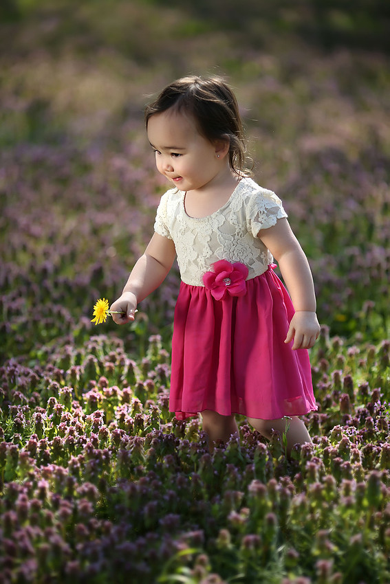 spring mini sessions bolivar missouri